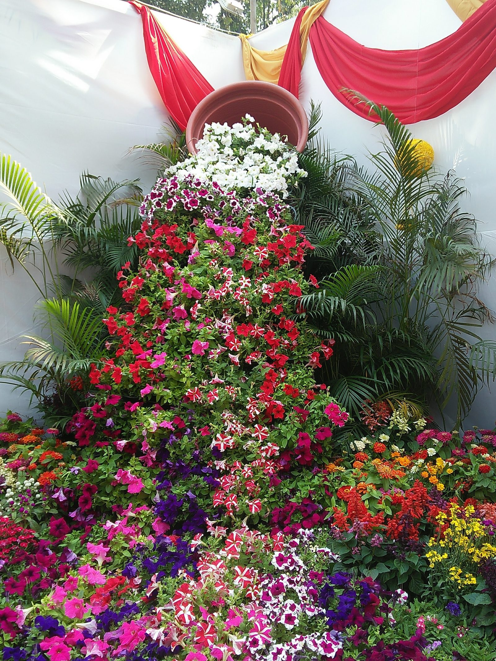 Three Day Flower Show Held in Byculla Zoo, Mumbai Travel And Food Blogger
