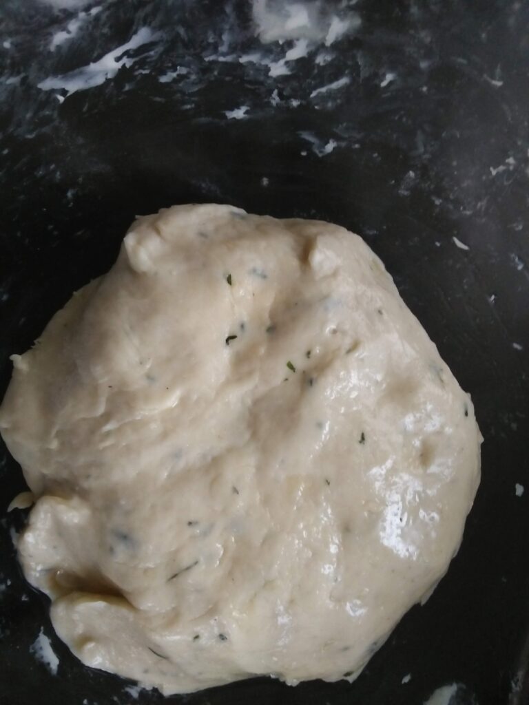 Kulcha Dough coated with oil and kept aside for 2 hours in a mixing bowl
