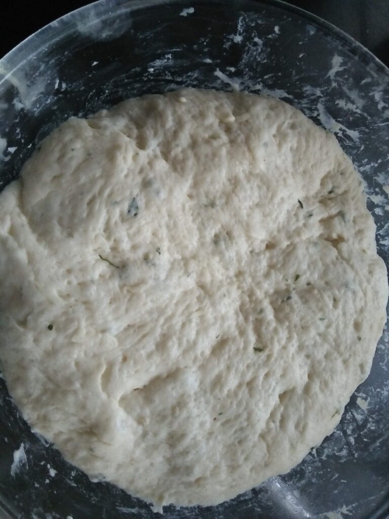 Kulcha Dough risen after 2 hours