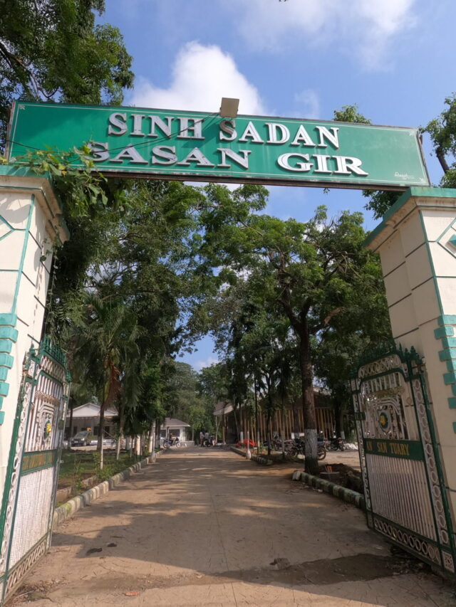 Devaliya Safari Park Sasan Gir