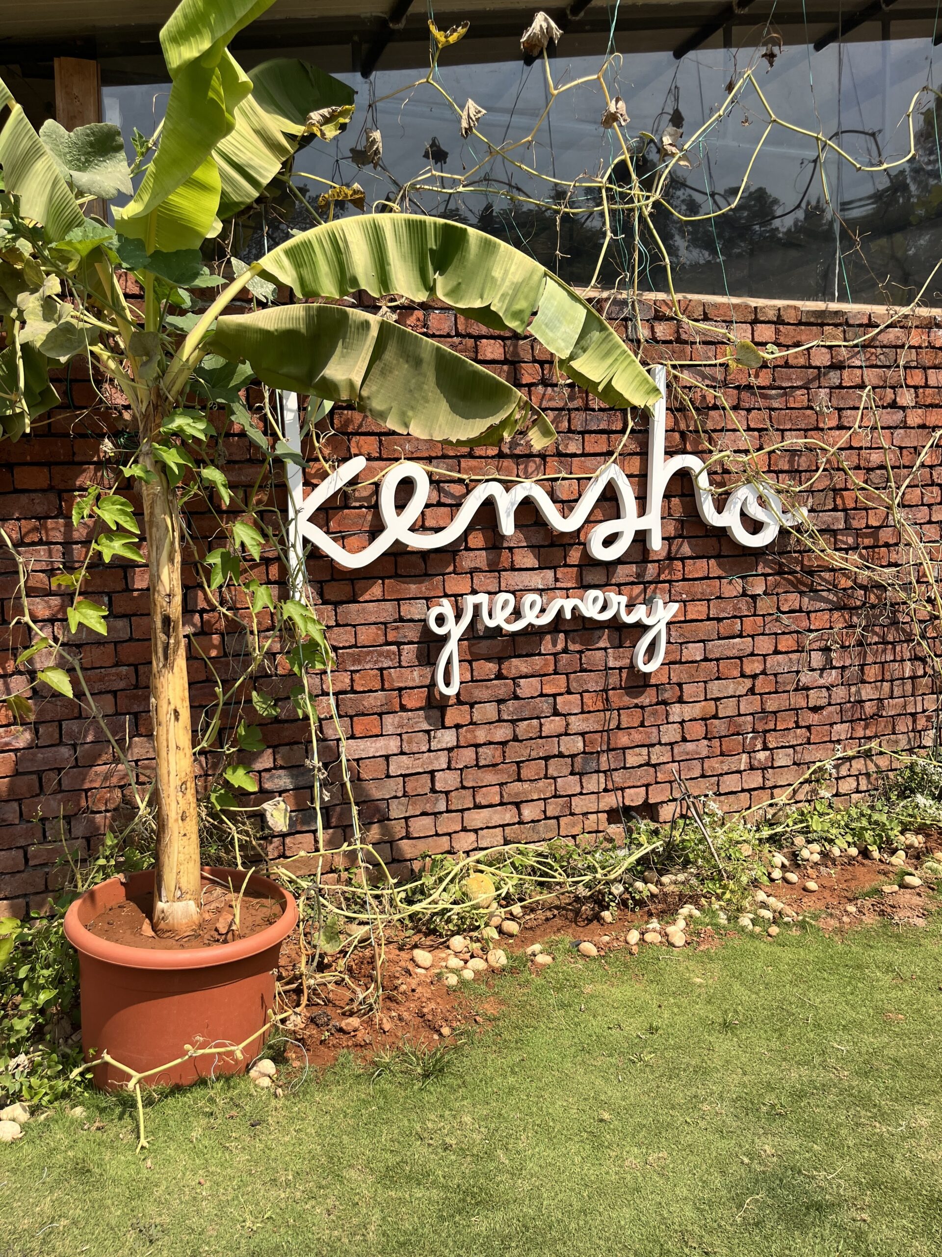 Kensho Greenery - Nursery