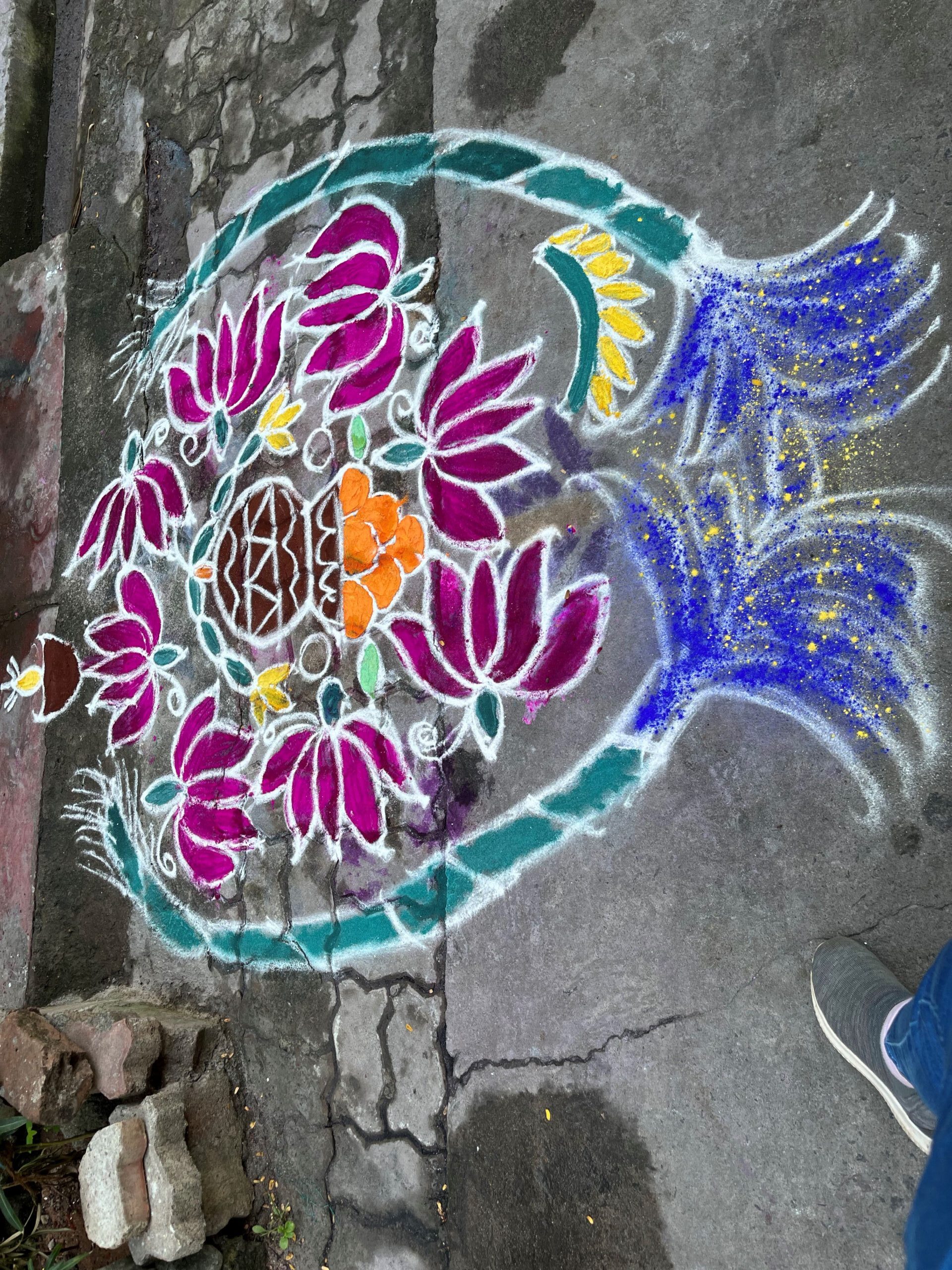 RANGOLIS OUTSIDE THE HOUSES AT PONGAL FESTIVAL IN PONDICHERRY