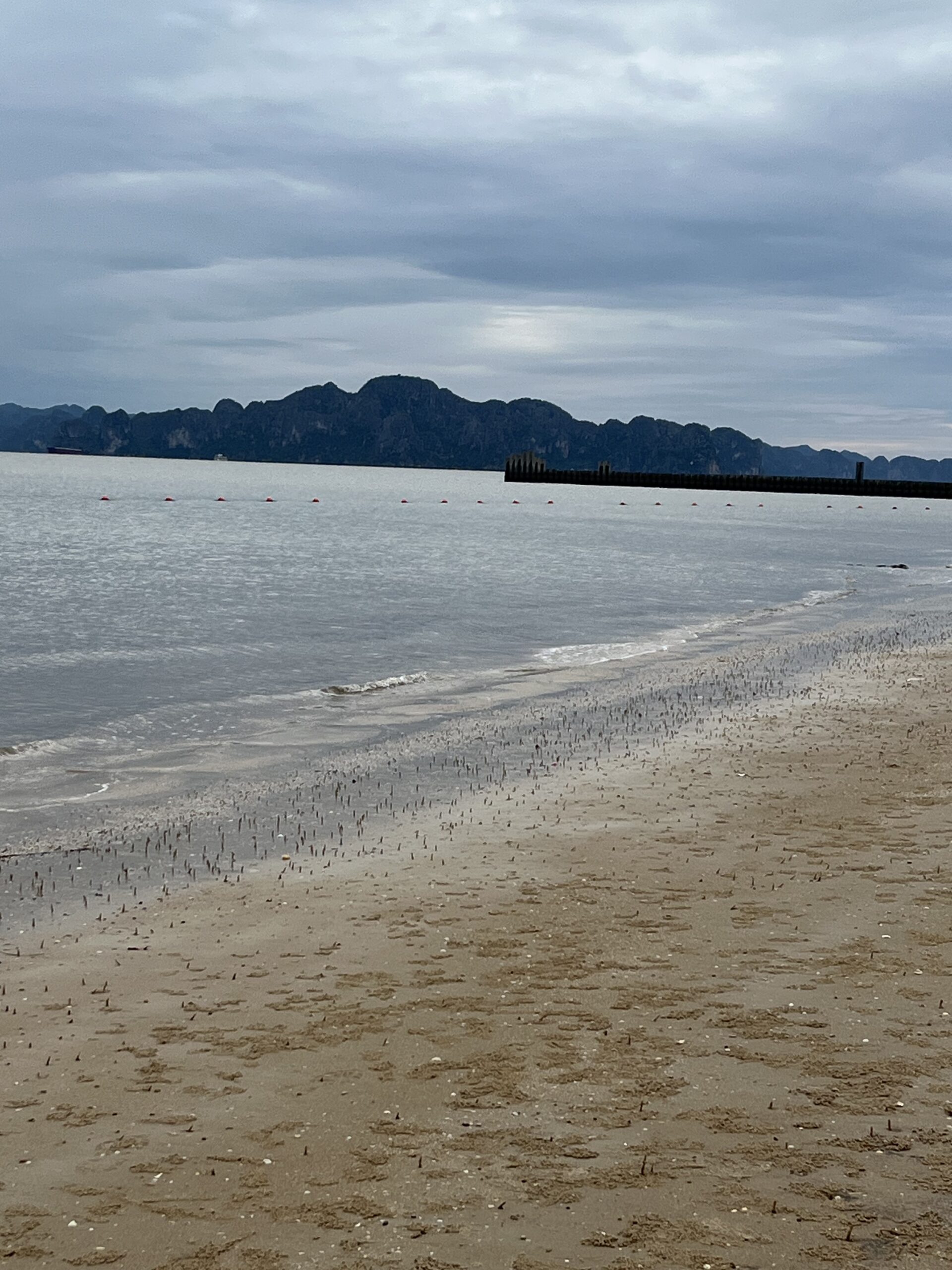 Bai Chay Beach - popular beach in the city