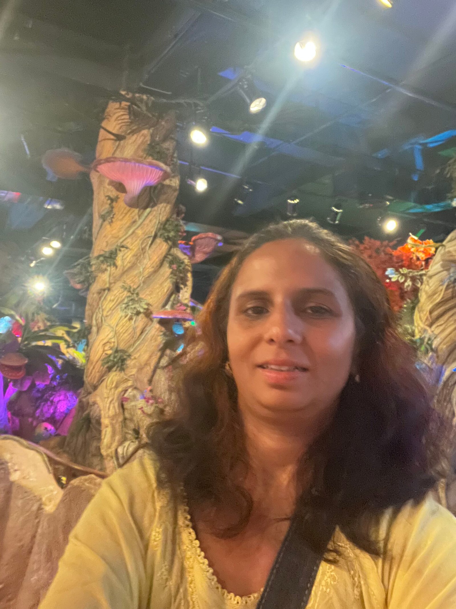 FAntasy Park in DA Nang - DA Nang 4 DAys Itinerary